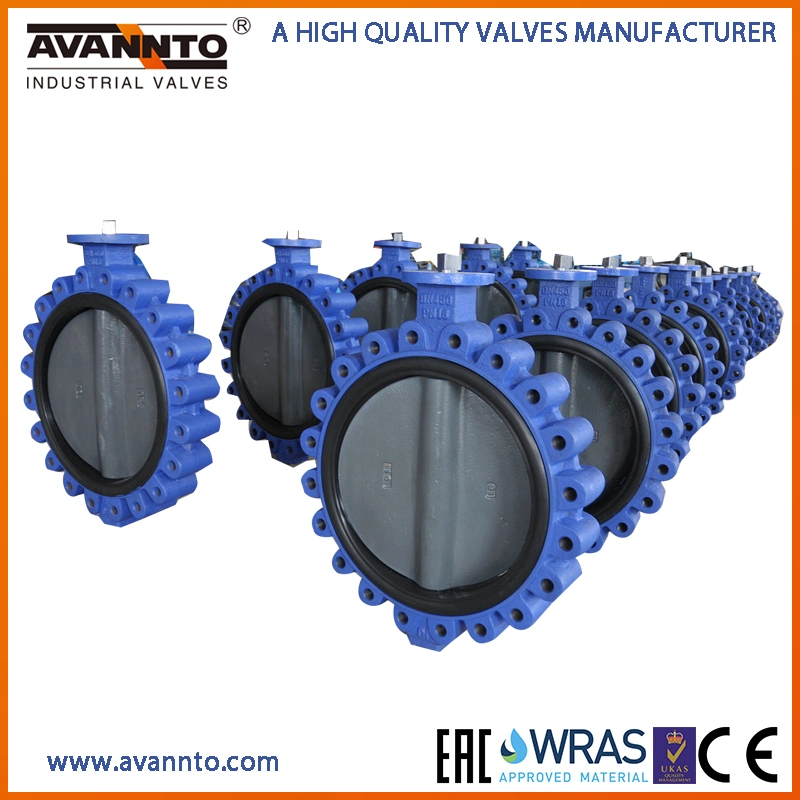 Resilient Seated Concentric Type Ductile Cast Iron Industrial Control Wafer Lug Butterfly Valves with EPDM PTFE PFA Rubber Lining API/ANSI/DIN/JIS/ASME/Aww
